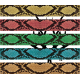 Snake Skin