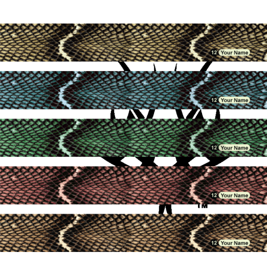 Snake Skin 2