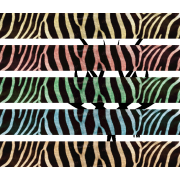 Zebra Skin