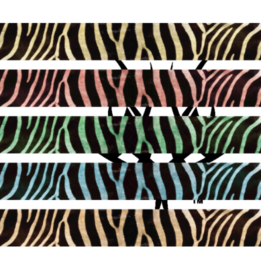 Zebra Skin