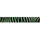 Zebra Skin Green