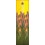 Nano Flames Stabi wrap Yellow