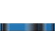 Fluoro Crest - Fluoro Blue