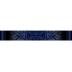 Zebra Stripes Fade - Blue