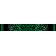 Zebra Stripes Fade - Dark Green