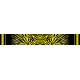 Zebra Stripes Fade - Yellow