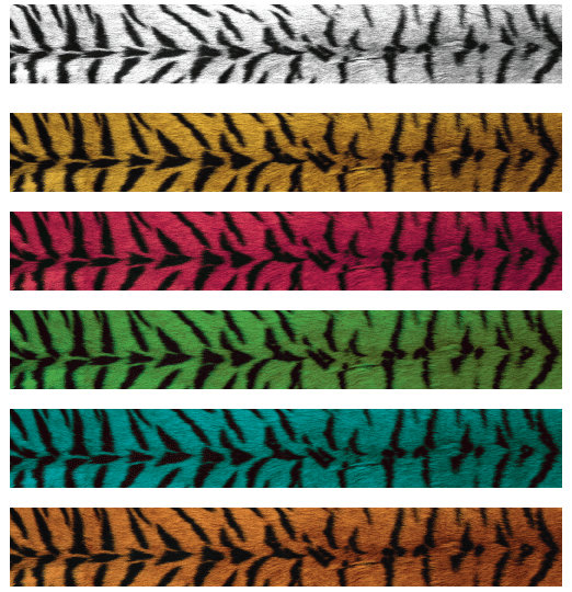 Tiger Skin