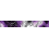 Wild Topo v2 Purple